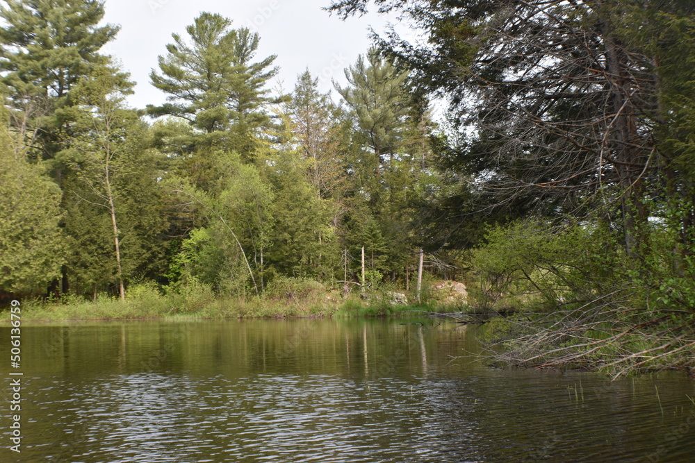 Fototapeta premium Canot Marais Kingsbury 21 Mai 2022