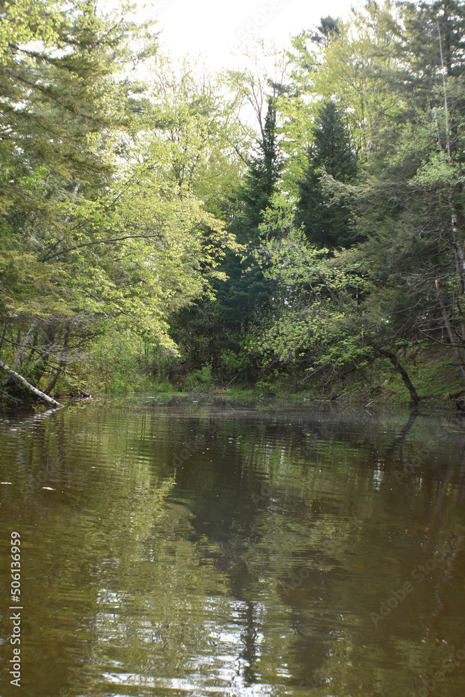 Fototapeta premium Canot Marais Kingsbury 21 Mai 2022