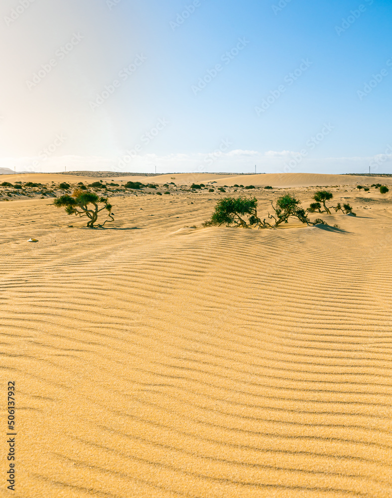arena , playa , paisajes , dunas , naturaleza arena , playa , paisajes , dunas , naturaleza