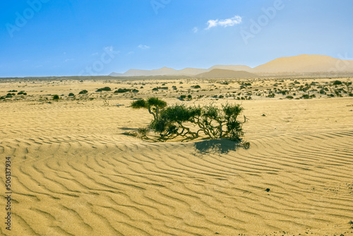 arena , playa , paisajes , dunas , naturaleza 