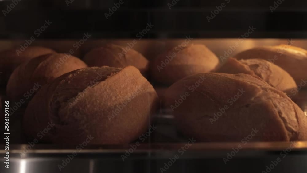Rising and baking of white bread in bakery oven, timelapse video. Crusty of bread.