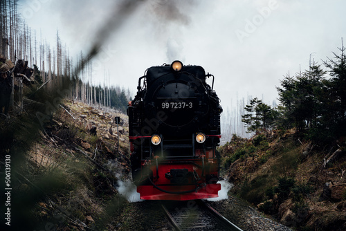 Harzer Schmalspurbahn Nahaufnahme in der Natur photo