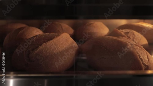 Rising and baking of white bread in bakery oven, timelapse video. Crusty of bread.