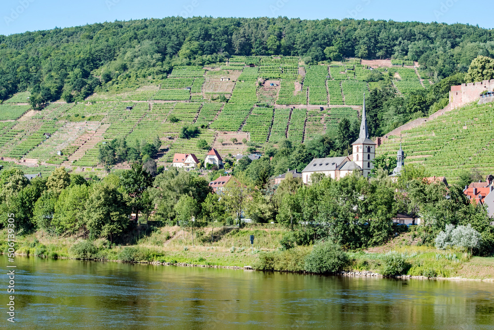 A town along the Main River in Germany, sits at the foot of hills covered in vineyards.
