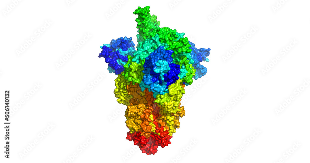 COVID-19 S Omicron Spike protein, B.1.1.529, 3D molecule
