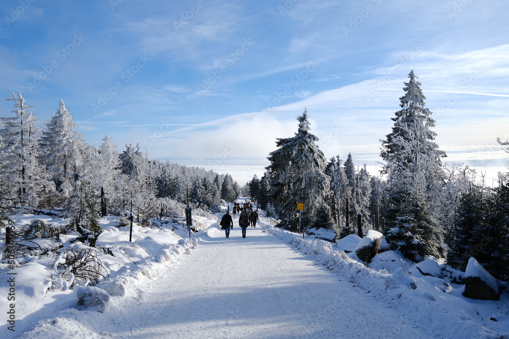 Touristen wandern im Winter auf der Brockenstraße