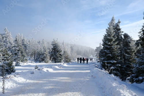 Wandergruppe auf dem Weg zum Brocken im Harz. Verschneite Landschaft und blauer Himmel
