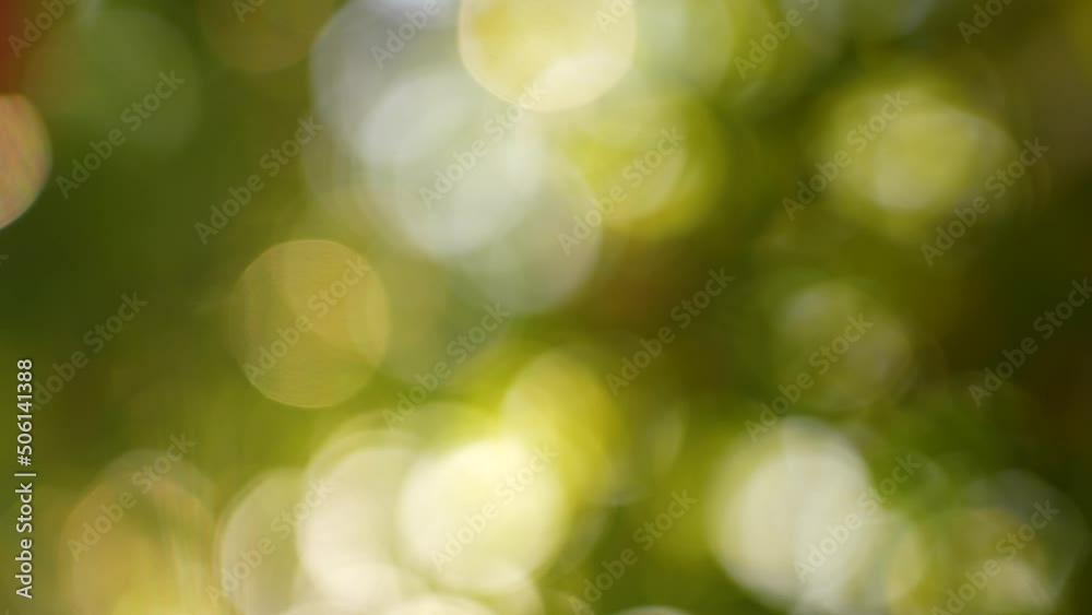 Beautiful organic green and yellow bokeh slow motion 4k video background. Abstract natural holiday, Christmas, Xmas environmental sunny backdrop