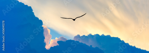 Foto Inspirational Bird Flying Image Banner