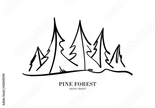 Vector sketch line pine forest. Isolated tree on white background