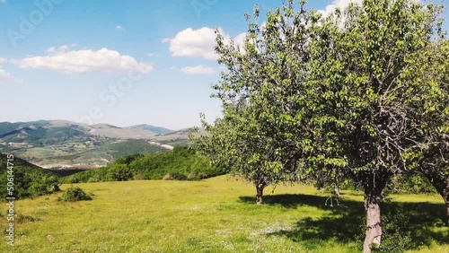 the old pear trees and beautiful landscape hills fields of Brus village, Kosovo photo