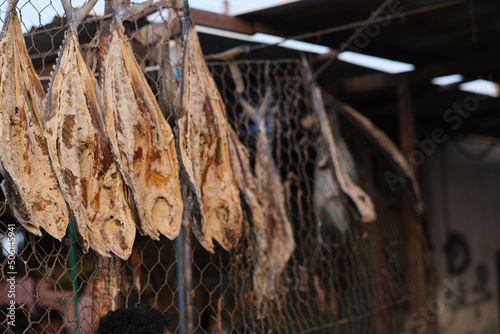 photo of traditional fishes Market in Fao town in basra city photo