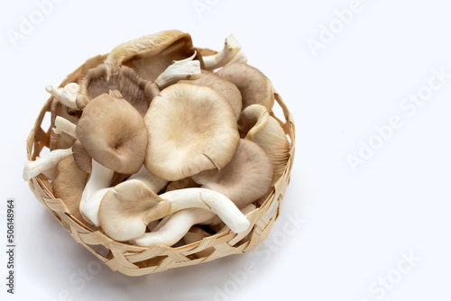 Fresh oyster mushroom in bamboo basket on white background. photo
