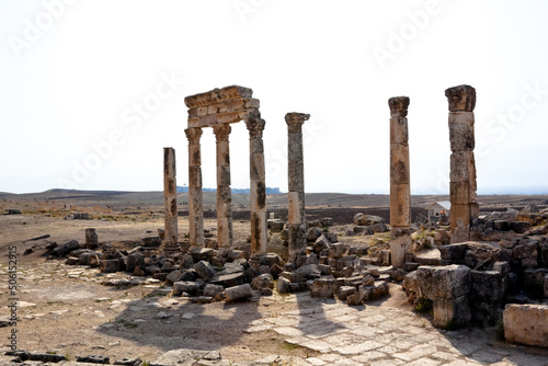 Apamea ruins Syria photo