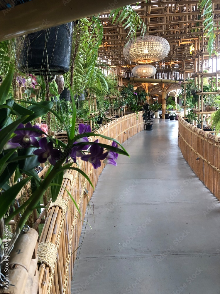 Naklejka premium tree in the garden