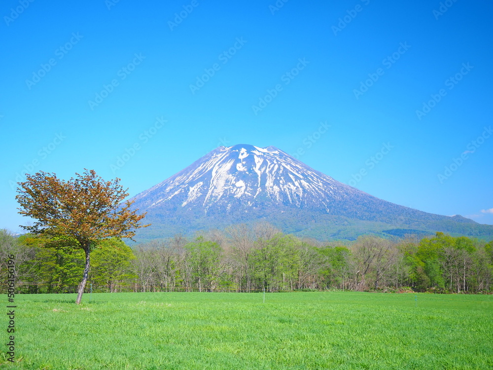 北海道の絶景 ニセコ高橋牧場からの羊蹄山風景 北海道の絶景 ニセコ高橋牧場からの羊蹄山風景