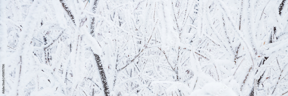 Snow and rime ice on the branches of bushes. Beautiful winter background with twigs covered with hoarfrost. Plants in the park are covered with hoar frost. Cold snowy weather. Cool frosting texture. Snow and rime ice on the branches of bushes. Beautiful winter background with twigs covered with hoarfrost. Plants in the park are covered with hoar frost. Cold snowy weather. Cool frosting texture.