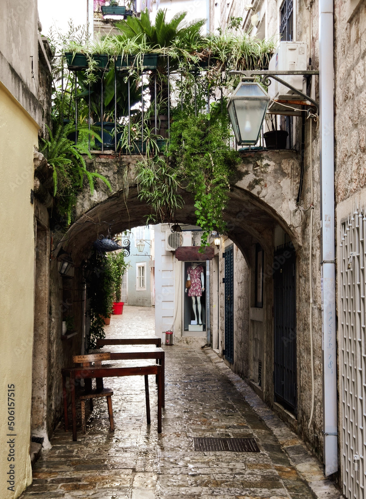 Obraz premium Beautiful narrow street with lantern and plants in old town of Budva, Montenegro