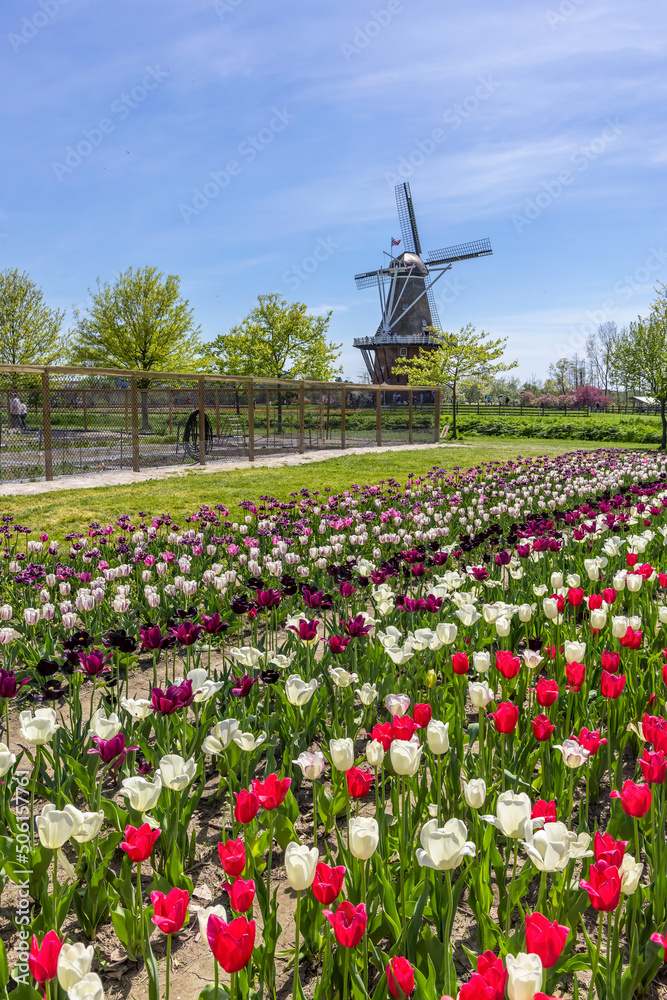 Historic Windmill in Windmill island gardens in Holland, Michigan