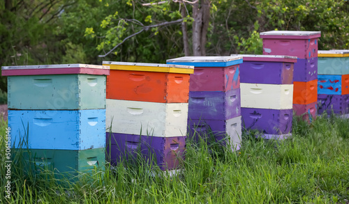 Close up view of colorful honey bee boxes, selective focus.