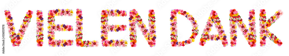 Text VIELEN DANK (German for Thanks a lot) made of flowers on white background