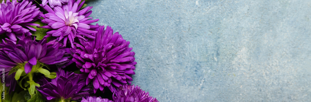 Obraz premium Beautiful aster flowers on color background with space for text