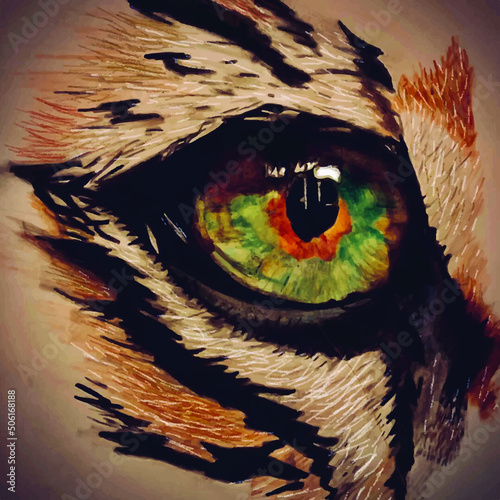 Vector illustration of close up of tiger eye on the white background.