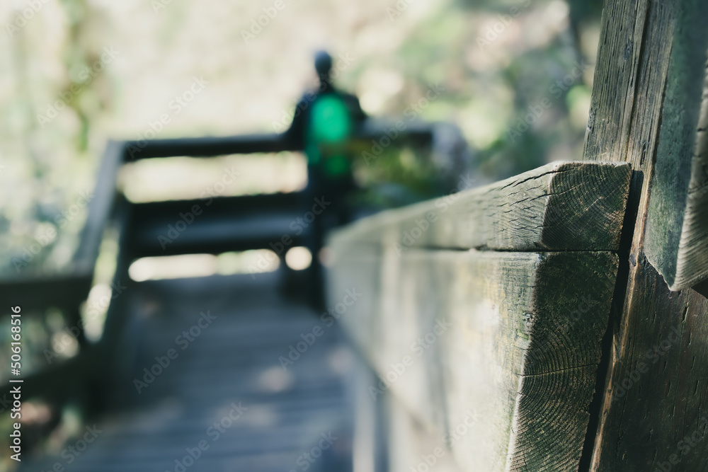 Obraz premium Defocused hiker on viewing platform forest. Back view of person looking in abstract lush foliage on a wooden staircase or boardwalk hiking trail in North Vancouver, BC, Canada. Nature background.