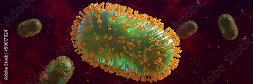 Monkeypox viruses, infectious double-stranded DNA zoonotic virus 