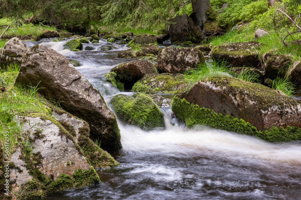 Fototapeta premium waterfall in the forest