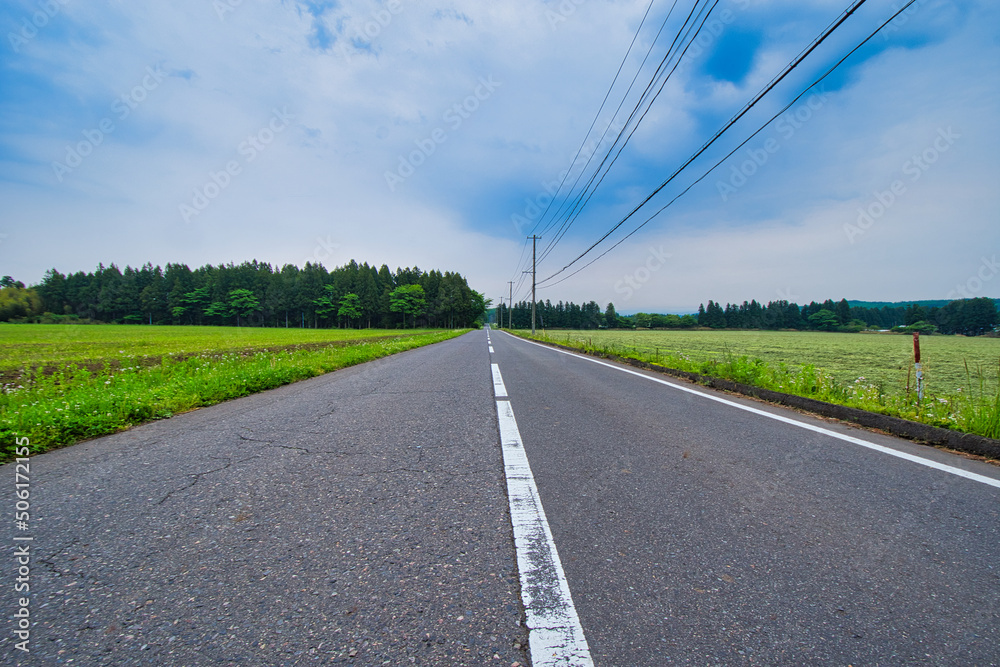 Fototapeta premium 続く道程