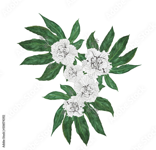 Hand painted with watercolor and ink floral composition: hibiscus flowers and acacia tree leaves