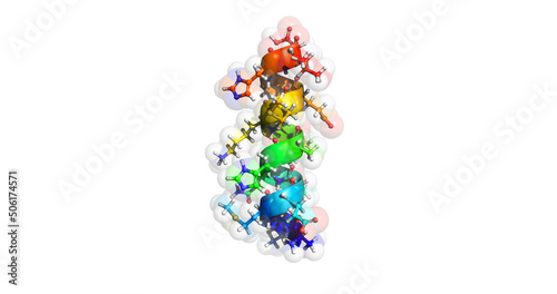 Alpha helix of a protein molecule  4K