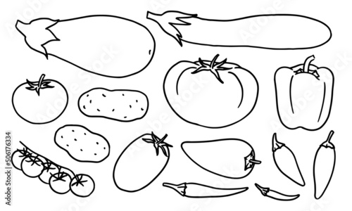 Set of hand-drawn nightshade produce