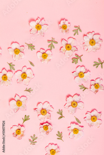 japanese anemone on the pink background