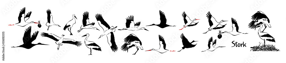 Fototapeta premium A set of flying storks. Vector illustration