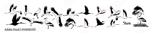 Leinwand Poster A set of flying storks. Vector illustration