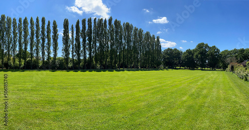Quadro su tela peupliers et gazon tondu