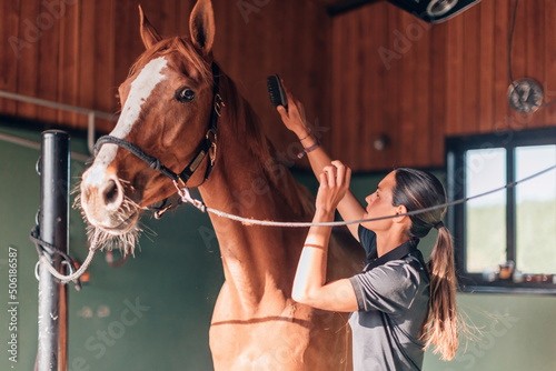 female instructor rider taking care of purebred in horse farm - broodmare daily activity © Carlo