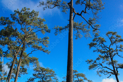 Tent point on the mountain and the sky