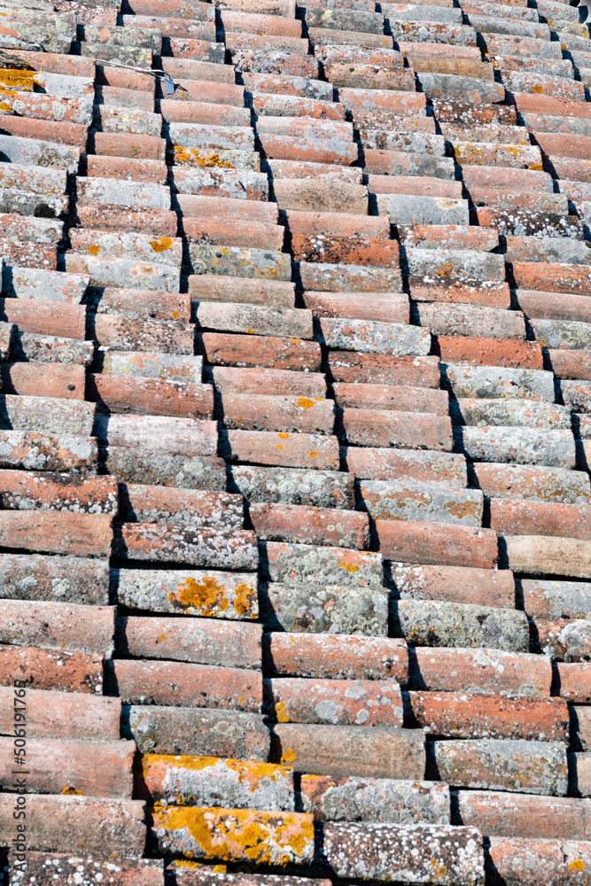 lichen covered interlocking roof tiles lichen covered interlocking roof tiles