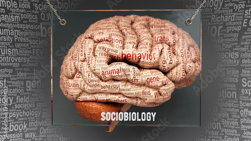 Sociobiology in human brain - dozens of important terms describing Sociobiology properties painted over the brain cortex to symbolize Sociobiology connection with the mind.,3d illustration photo