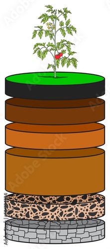 Soil layers infographic diagram biology geology agriculture science education vector chart illustration scheme humus topsoil eluviation subsoil regolith bedrock earth plant water minerals  photo