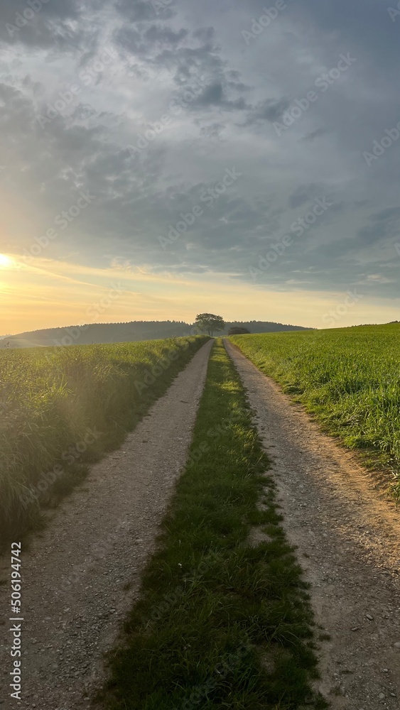 Ein wunderschöner Wanderweg am frühen Morgen bei Sonnenaufgang. - Mitten in der Natur, Landleben, Wiesen, Felder, Acker, Landwirtschaft, Wald, Forst