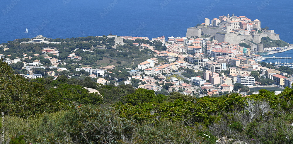 Naklejka premium Calvi