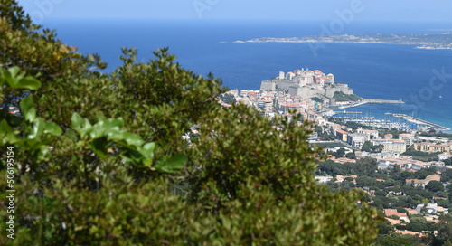 Calvi photo