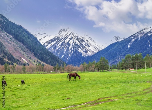 Caucasus mountains   Karachay - Cherkessia  Arhiz