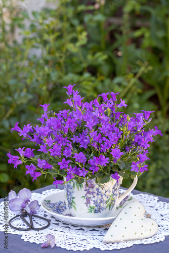 lila Dalmatiner Polster-Glockenblume in Teetasse als florale Dekoration