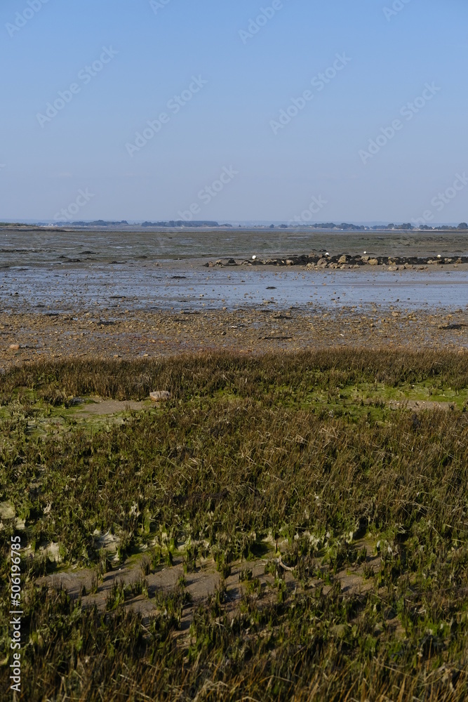 The Morbihan gulf at low tide during spring.