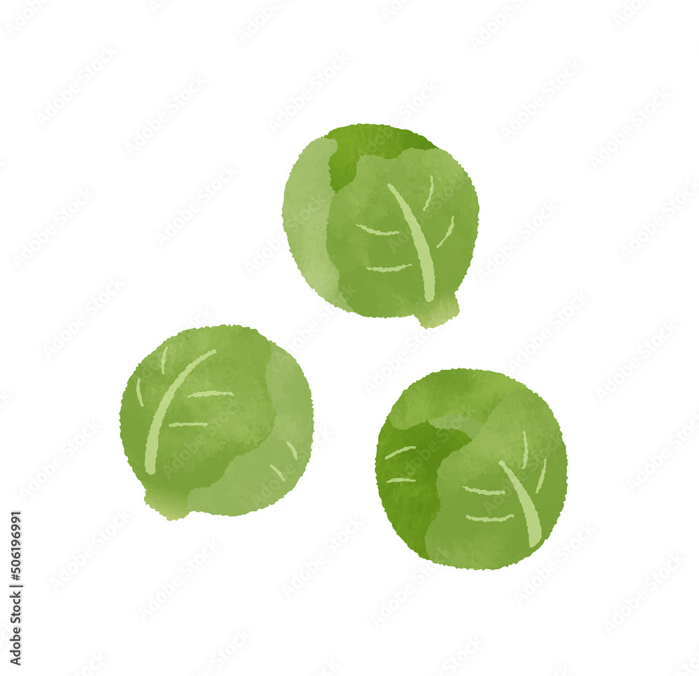芽キャベツ 芽キャベツ